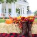 A hay bale that has mini orange pumpkins in an outdoor wedding.