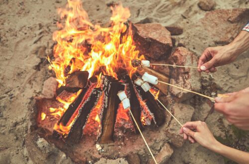 A bachelorette party roasting marshmallows over a bonfire.