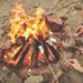 A bachelorette party roasting marshmallows over a bonfire.