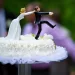 A funny bride and groom cake topper.