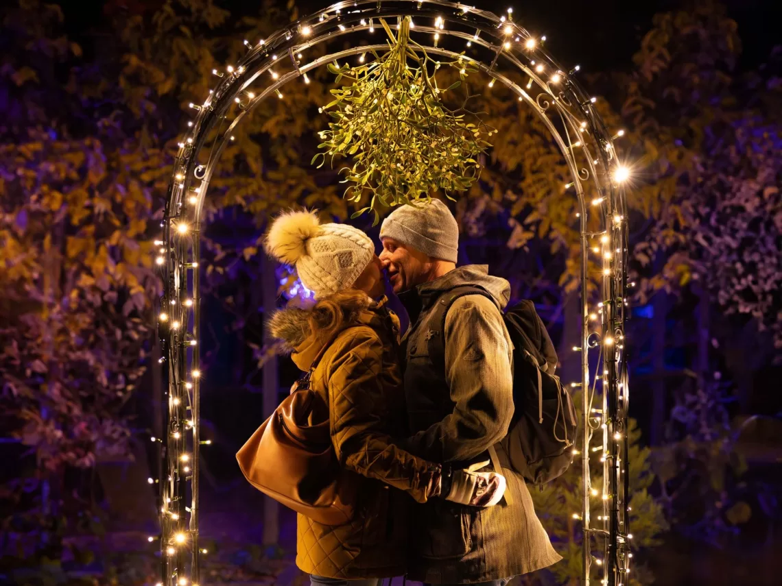 A couple kissing under the mistletoe.